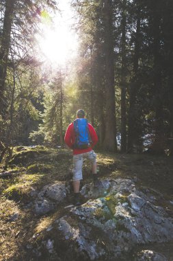güneşli ormanda hiking mavi sırt çantası ile arkadan görünüşü kırmızı kazaklı adam