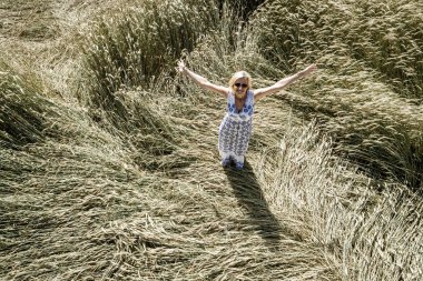güneşli bir günde çavdar tarlasında dururken doğanın tadını çıkaran beyaz yazlık elbise giyen kaygısız güzel kadın 