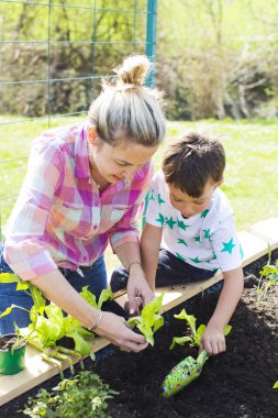 güzel anne ve sarışın oğlu Garden yükseltilmiş yatakta salata dikim