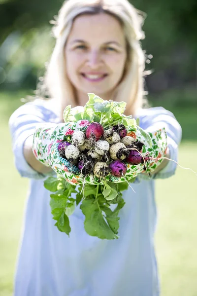 野菜の庭 ガーデニングのコンセプトで立ちながらの手で新鮮なバイオ大根を保持している金髪女性 — ストック写真