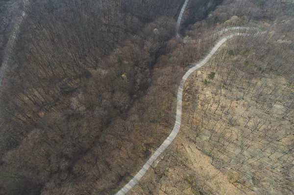 Drohnenflug Aus Der Luft Über Wald Und Feldweg Wald Österreich — Stockfoto