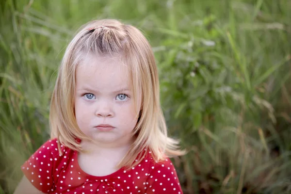 Portrait Beautiful Little Girl Green Meadow — Stock Photo, Image