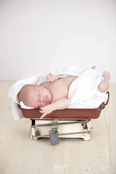Χαριτωμένο Εβδομάδες Νεογέννητο Μωρό Τυλιγμένο Λευκό Ύφασμα Στον Ύπνο Κλίμακες — Φωτογραφία Αρχείου