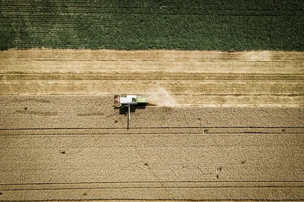 Tarlada Hasat Hasat Ürün Birleştirmek Havadan Görünümü Tarımsal Kavram — Stok fotoğraf