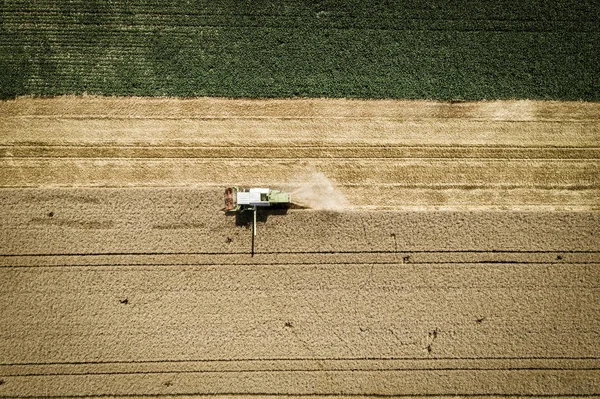 Vue Aérienne Moissonneuse Batteuse Récolte Sur Terrain Concept Agricole — Photo