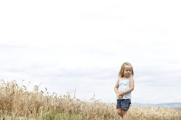 Kleines Blondes Schönes Mädchen Auf Goldener Weizenwiese — Stockfoto