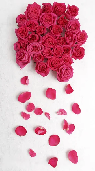 Frische Rosa Rosenknospen Und Blütenblätter Liegen Auf Weißer Oberfläche — Stockfoto
