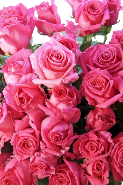 Schöner Strauß Rosa Rosen Isoliert Auf Weißem Hintergrund Nahaufnahme — Stockfoto