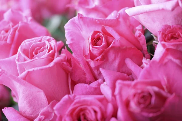 Красивый Букет Розовых Роз Белом Фоне Крупным Планом — стоковое фото