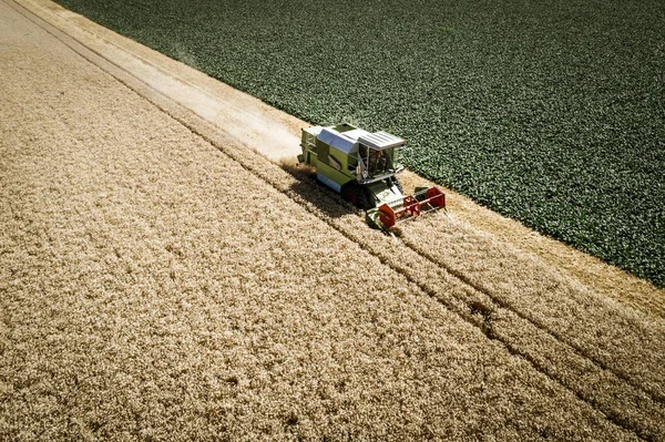 Vista Aérea Cosechadora Cosechadora Cosecha Campo Concepto Agrícola — Foto de Stock