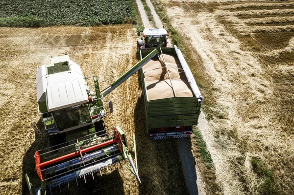 Aerial View Combine Harvester Pouring Grains Trailer Field Agricultural Concept — Stock Photo, Image