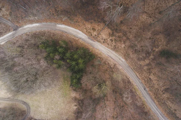 aerial drone flight view over forest and dirt road in forest in Austria