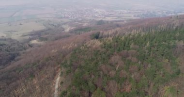 drone uçuş sonbahar orman yolu üzerinde 