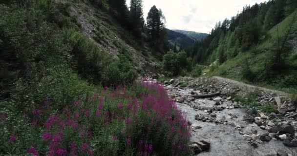 Поток Текущий Между Скалами Ущелье Австрия — стоковое видео