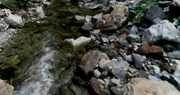 Cold Stream Flowing Rocks Austria — Stock Video