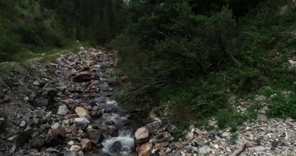 Ruisseau Coulant Parmi Les Rochers Dans Gorge Autriche — Video