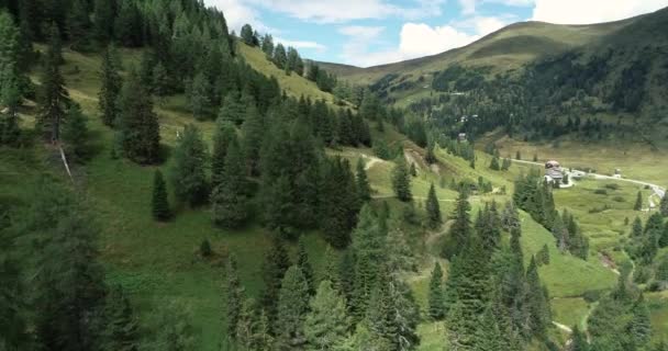 Panoramic View Green Forest Gorge Austria — Stock Video