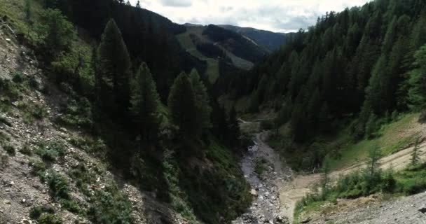奥地利峡谷岩石之间的溪流流动 — 图库视频影像