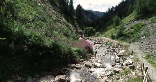 Córrego Fluindo Entre Rochas Desfiladeiro Áustria — Vídeo de Stock