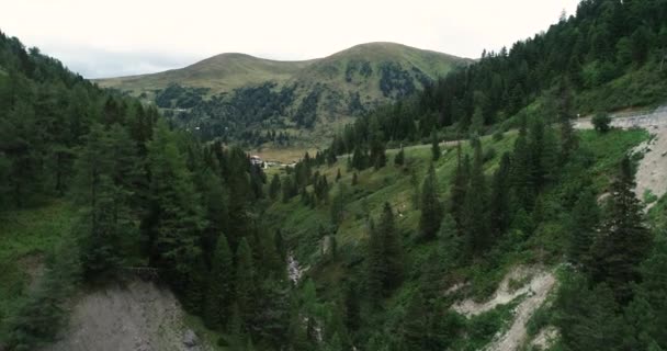 Панорамный Вид Зеленый Лес Ущелье Австрия — стоковое видео