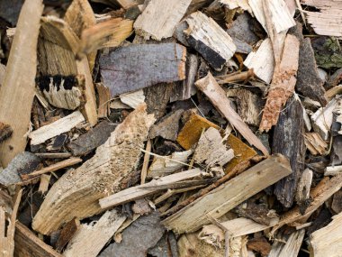 Marangozluk arka planı için yakın çekim ahşap.