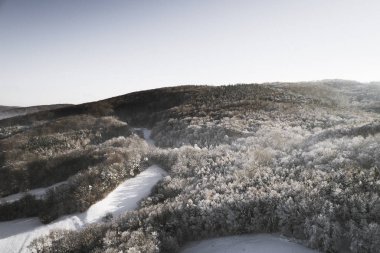 kar hava görünümünü orman güneşli kış gününde kaplı.