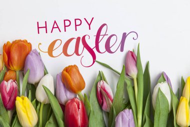 taze renkli Lale ve metin yığını Almanca mutlu Paskalya 