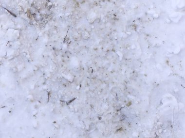 kirli beyaz kar doku kış güneşli gün 