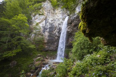 Avusturya Wildensteiner denilen büyük şelale