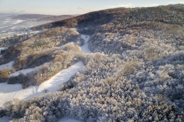 kar hava görünümünü orman güneşli kış gününde kaplı.