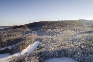 kar hava görünümünü orman güneşli kış gününde kaplı.