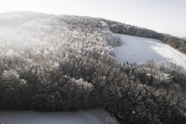 kar hava görünümünü orman güneşli kış gününde kaplı.