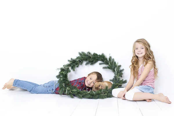 Happy Little Boy Beautiful Girl Rabbit Posing Christmas Wreath Isolated — Stock Photo, Image