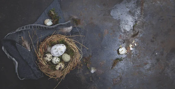 Decoración Pascua Con Nido Huevos Sobre Fondo Oscuro Concepto Vacaciones — Foto de Stock