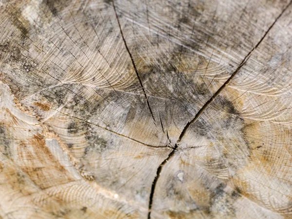 Zbliżenie Strzał Drewna Tła Stolarskiego — Zdjęcie stockowe