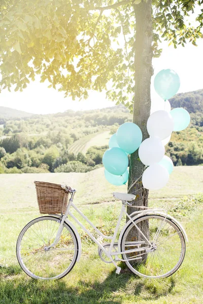 bicycle and balloons near tree on summer meadow