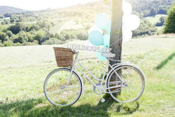 wooden lettering chase in German near bicycle and balloons near tree on summer meadow