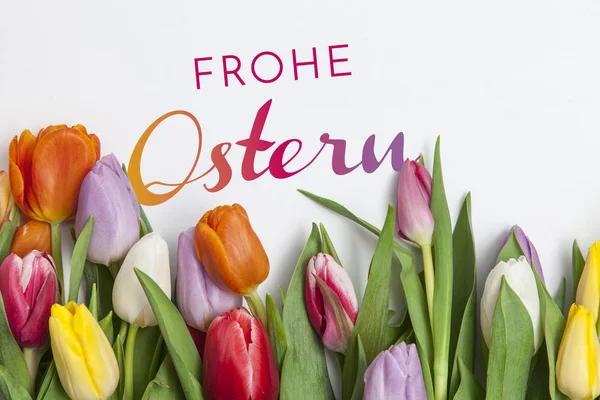pile of fresh colorful tulips and text happy Easter in german