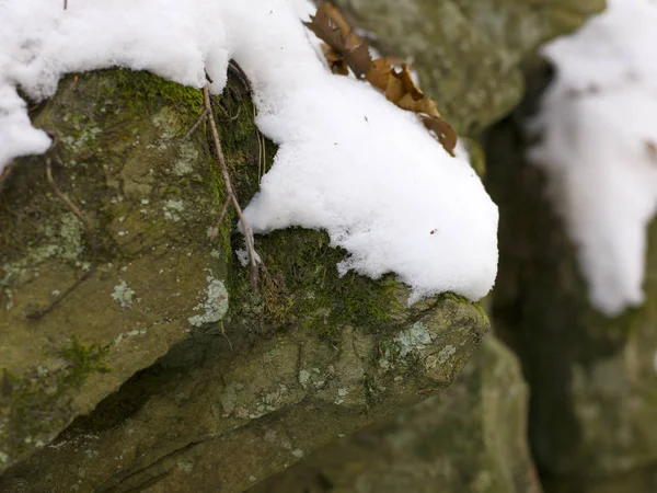 Сірий Камінь Вкритий Білим Снігом Крупним Планом — стокове фото