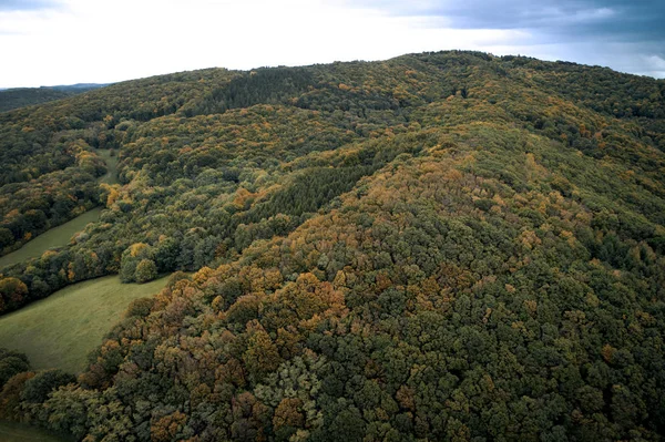 Живописный Вид Яркий Пышный Лес Горах Осенним Днем — стоковое фото