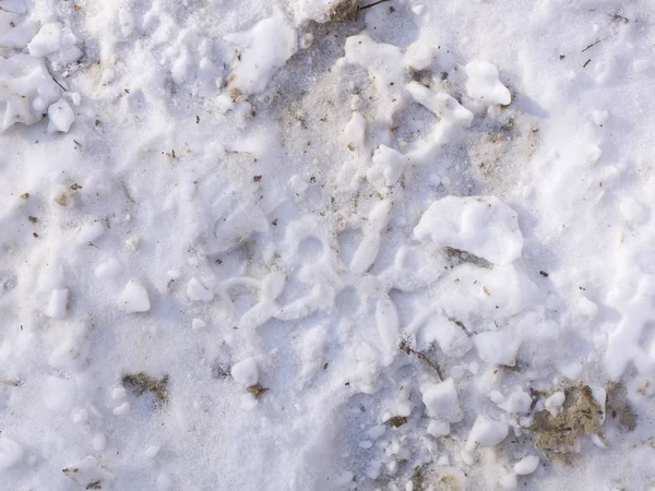 Kirli Beyaz Kar Doku Kış Güneşli Gün — Stok fotoğraf