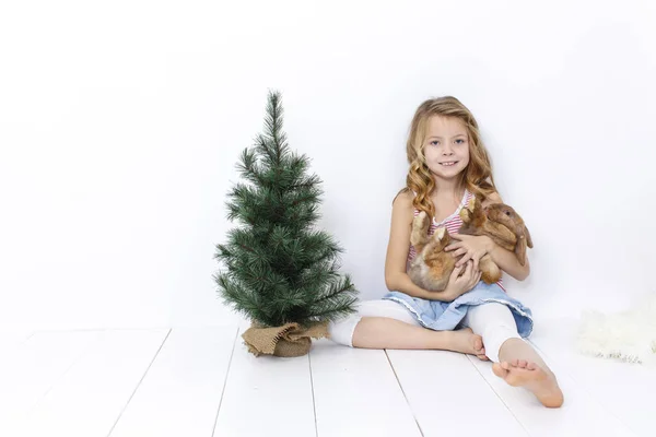 Menina Bonita Feliz Posando Com Coelho Enquanto Sentado Chão Madeira — Fotografia de Stock