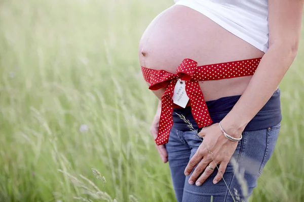 Pregnant Woman Ribbon Belly Meadow — Stock Photo, Image