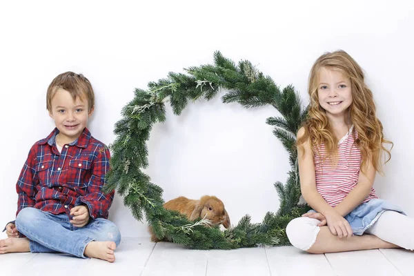 Menino Feliz Menina Bonita Com Coelho Posando Perto Grinalda Natal — Fotografia de Stock