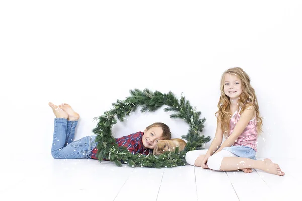 Menino Feliz Menina Bonita Com Coelho Posando Perto Grinalda Natal — Fotografia de Stock