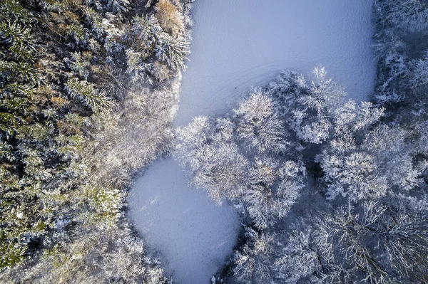 Воздушный Вид Заснеженных Лесов Солнечный Зимний День — стоковое фото