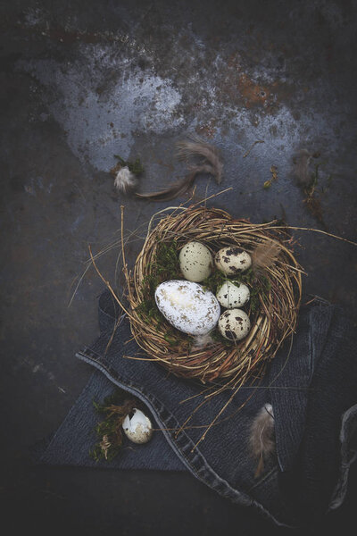 Easter decoration with nest and eggs on dark background, holiday concept  