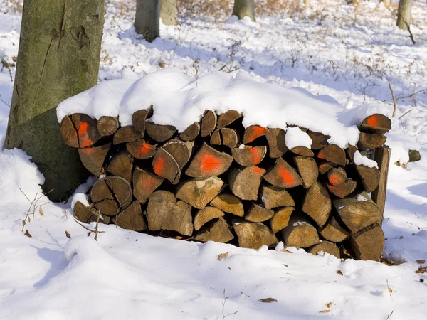 Pile Snow Covered Dried Firewood — Stock Photo, Image