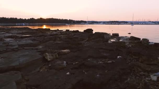 Flygfoto Över Yacht Harbor Novigrad Vid Soluppgången — Stockvideo