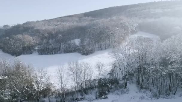 冰雪覆盖的山林在冬日的美景 — 图库视频影像